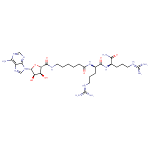 3bwj_1 Structure