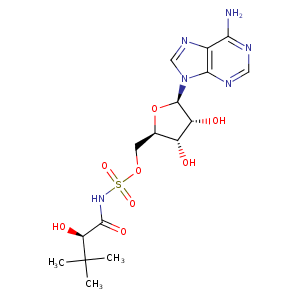 3cow_1 Structure