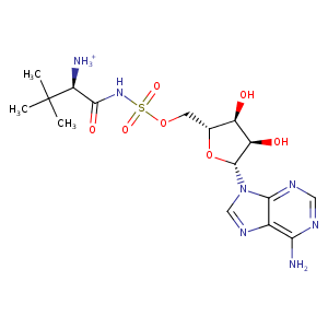 3coy_2 Structure