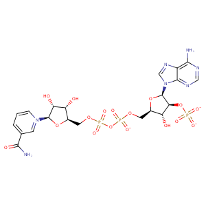 3d84_1 Structure