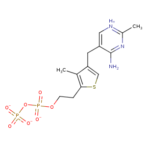 3dv0_4 Structure