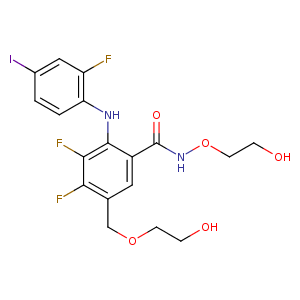 3dv3_1 Structure