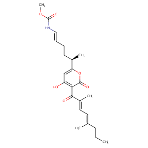 3dxj_2 Structure