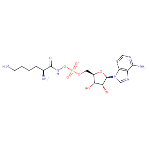 3e9i_4 Structure