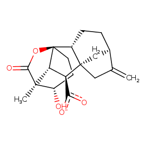 3ebl_4 Structure