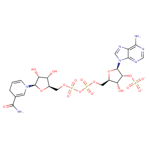 3ete_11 Structure