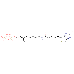 3eu5_1 Structure