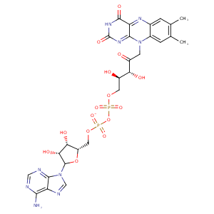 3ewk_1 Structure