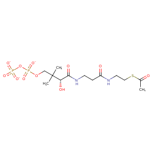 3exn_1 Structure