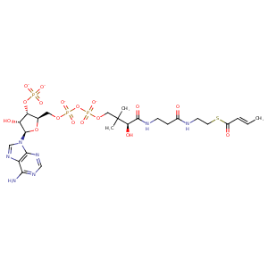 3glm_4 Structure