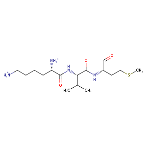 3glu_1 Structure