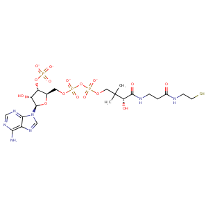 3gy9_1 Structure