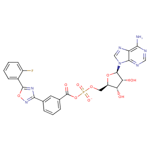 3ies_1 Structure