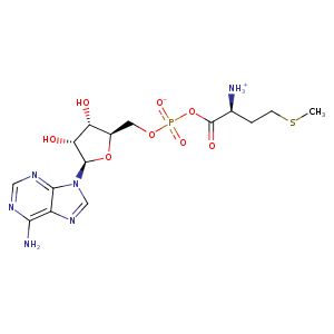 3kfl_1 Structure