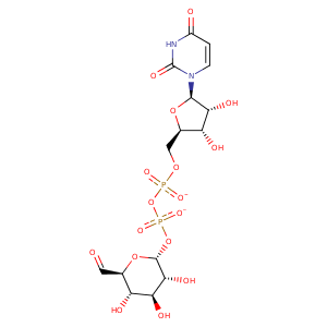 3khu_5 Structure