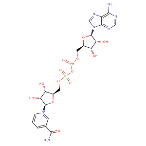 3ksd_3 Structure