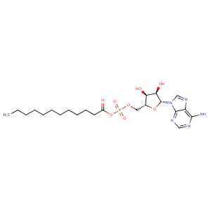 3kxw_1 Structure