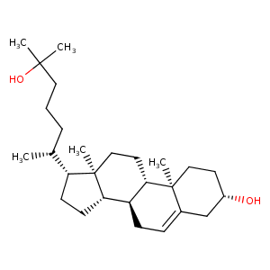 3l0l_1 Structure