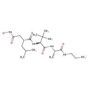 3l0t_1 Structure