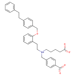 3l6j_2 Structure