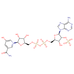 3l77_1 Structure