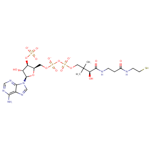3lcj_1 Structure