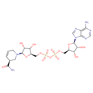 3m2t_1 Structure