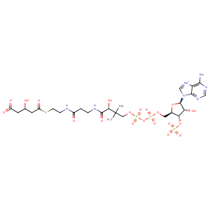 3mp3_1 Structure