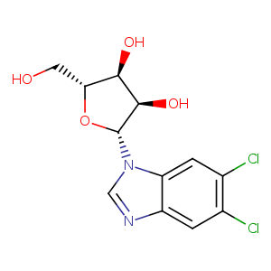 3my5_2 Structure