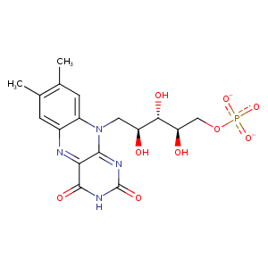3n39_1 Structure