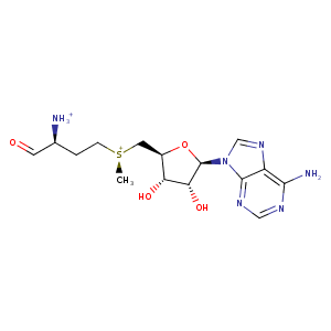 3nmu_1 Structure