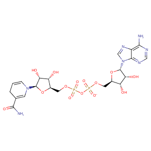 3nt5_2 Structure