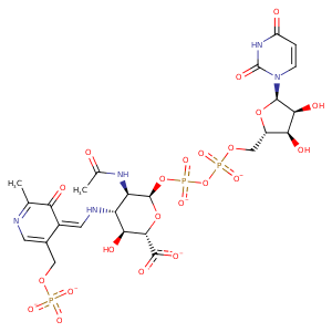 3nub_1 Structure