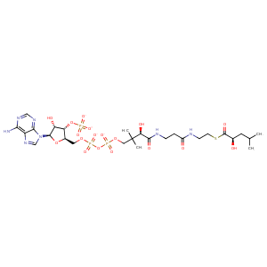 3o3n_1 Structure