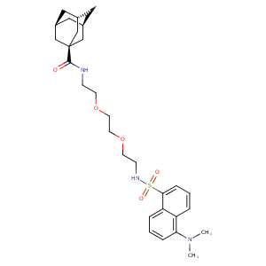 3p6o_1 Structure