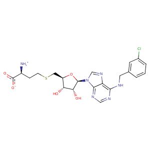 3p8z_1 Structure