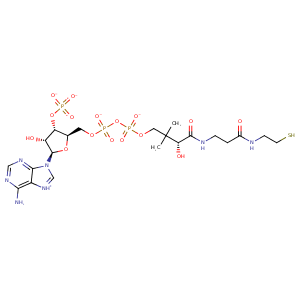 3pnb_2 Structure