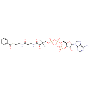 3pvr_1 Structure