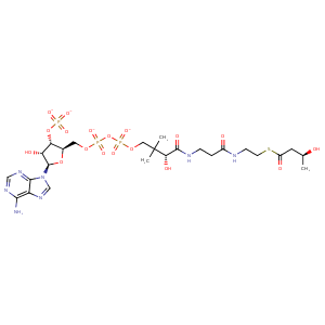 3pvt_1 Structure