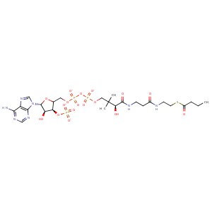 3q0g_1 Structure