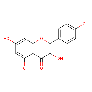 3qwh_3 Structure