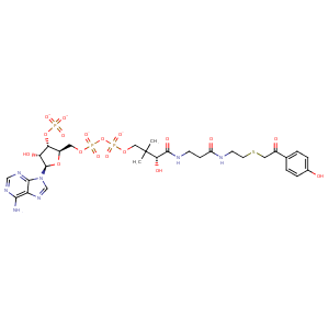 3r32_1 Structure