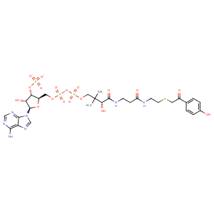 3r3b_1 Structure