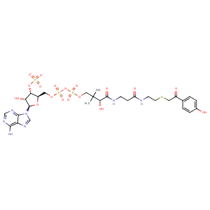 3r3c_1 Structure