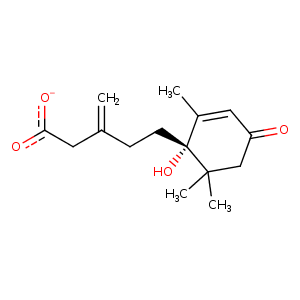 3r6p_1 Structure