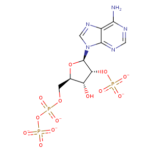 3rhd_1 Structure