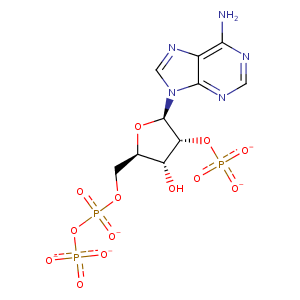 3rho_1 Structure