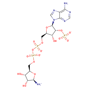 3rno_1 Structure