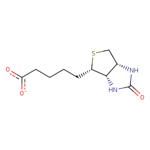 3t2w_1 Structure