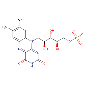 3tjl_1 Structure